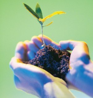 ecologia mantenemos limpio nuestro planeta